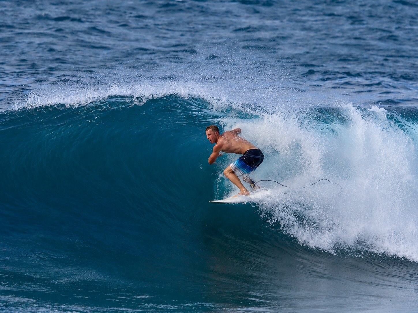 Drake surfing the face of a wave